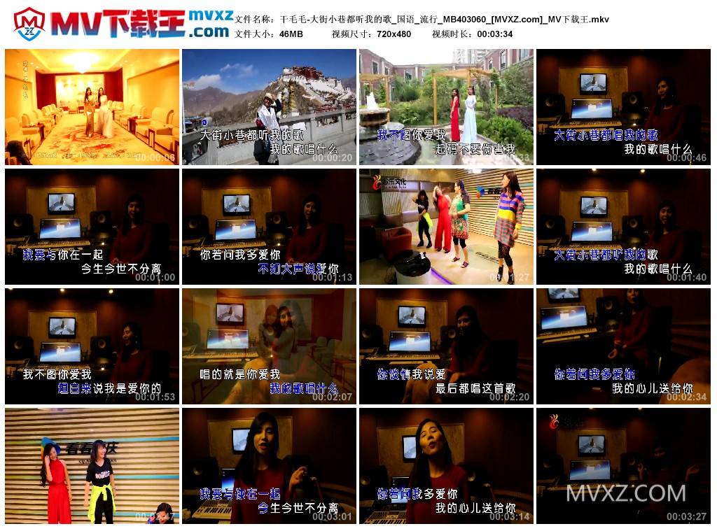 干毛毛-大街小巷都听我的歌_国语_流行_MB403060